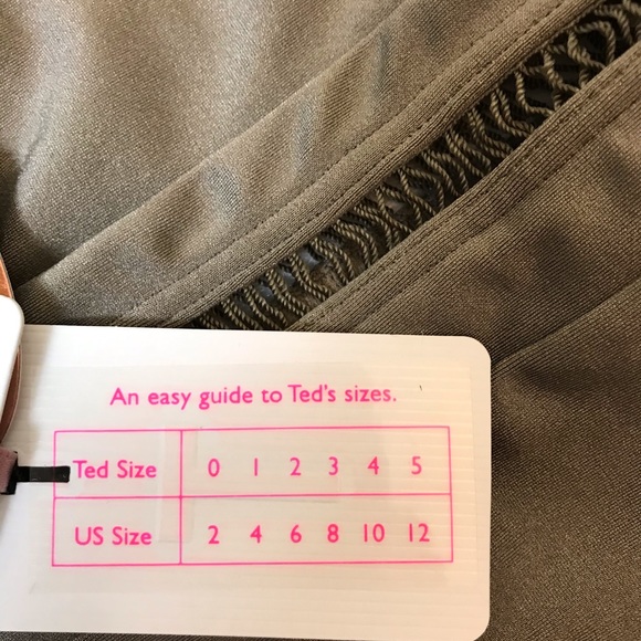 Sold Baker Deep V Swimsuit Khaki - Picture 7 of 7